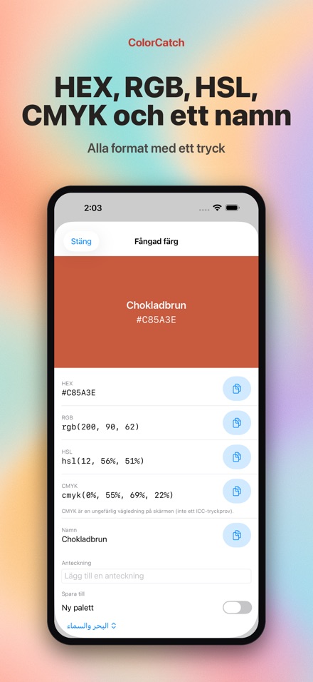 ColorCatch 2