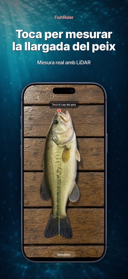 FishRuler: mesura peix AR 1