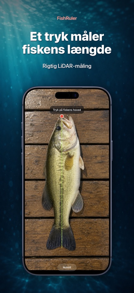 FishRuler: mål fisk i AR 1