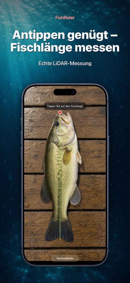 FishRuler: Fisch messen AR 1