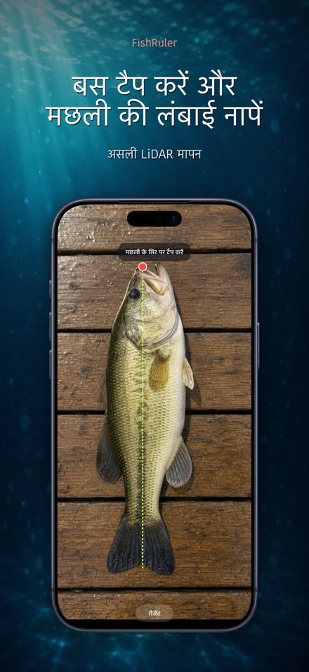 FishRuler: मछली की लंबाई 1