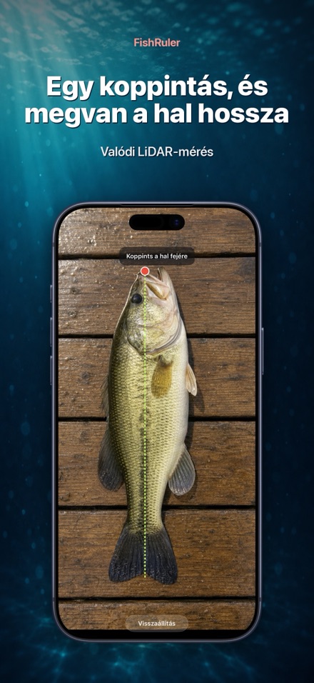 FishRuler: halmérés AR-ral 1