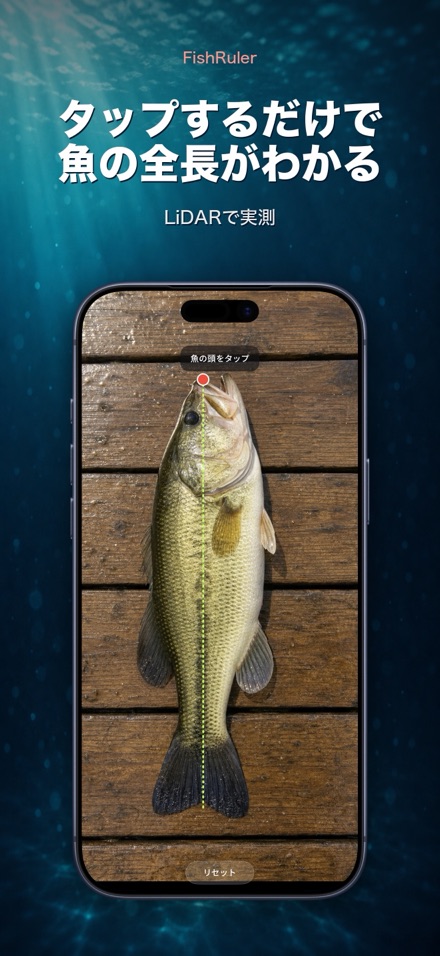 FishRuler：魚のサイズ計測