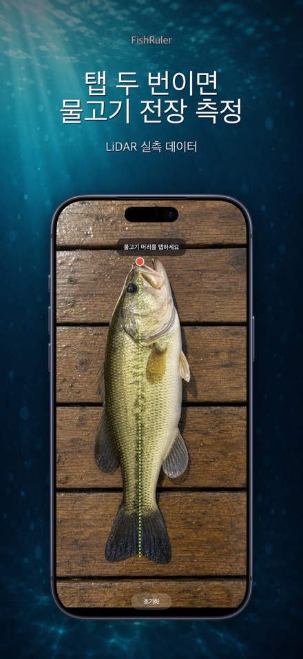 FishRuler: 물고기 크기 측정 1