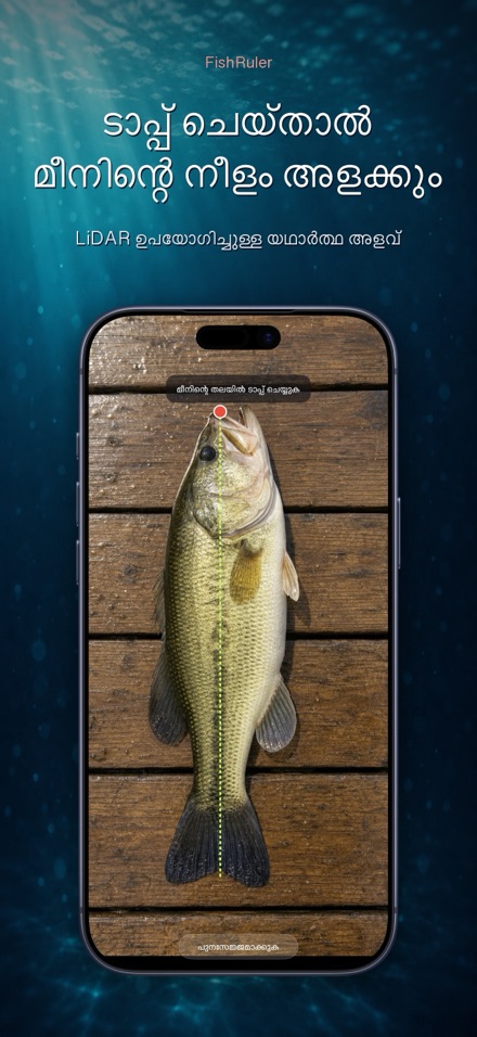 FishRuler: മീൻ അളവ് 1