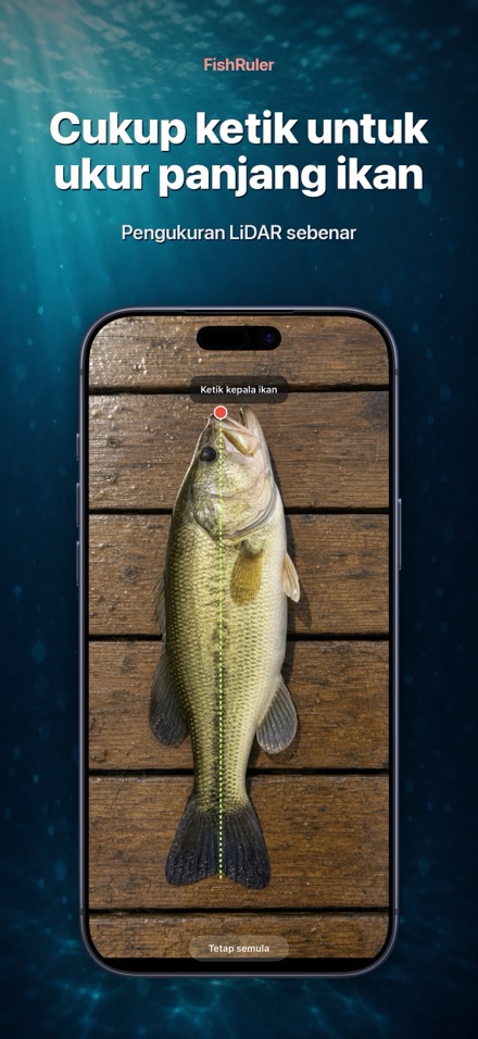 FishRuler: Ukur Panjang Ikan 1