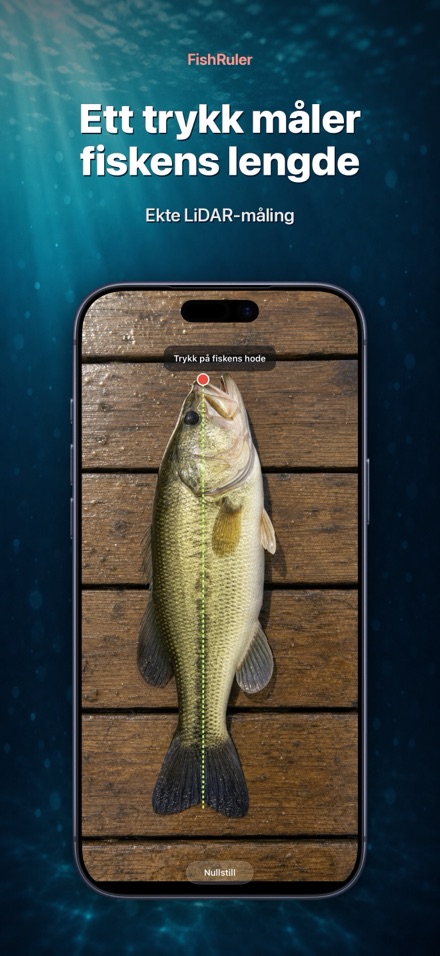 FishRuler: mål fisk i AR 1