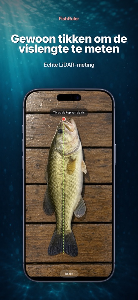 FishRuler: vis opmeten AR 1