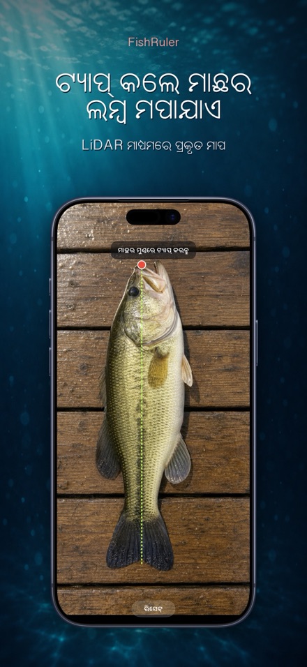 FishRuler: ମାଛ ମାପ 1