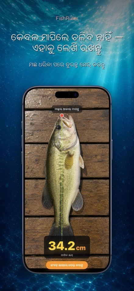 FishRuler: ମାଛ ମାପ 2