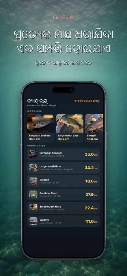 FishRuler: ମାଛ ମାପ 4