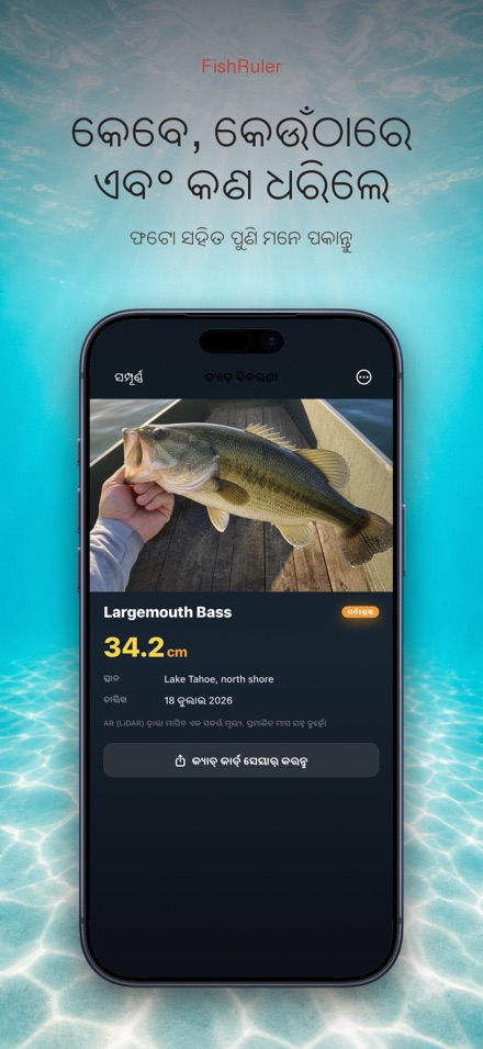 FishRuler: ମାଛ ମାପ 6