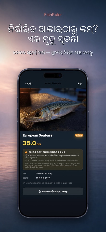 FishRuler: ମାଛ ମାପ 7