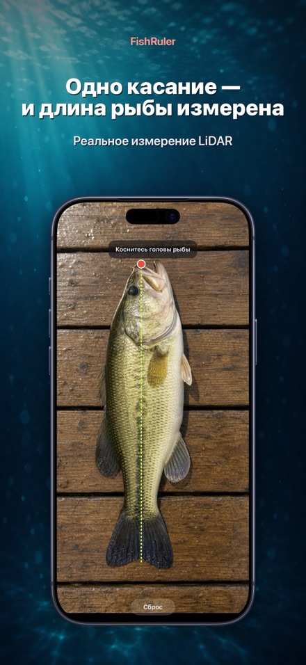 FishRuler: замер рыбы в AR 1
