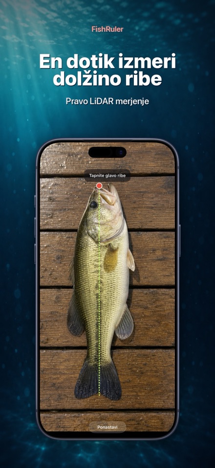 FishRuler: merjenje rib 1