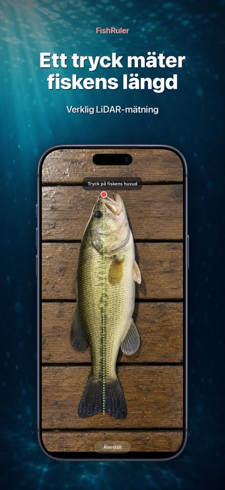 FishRuler: mät fisk i AR 1