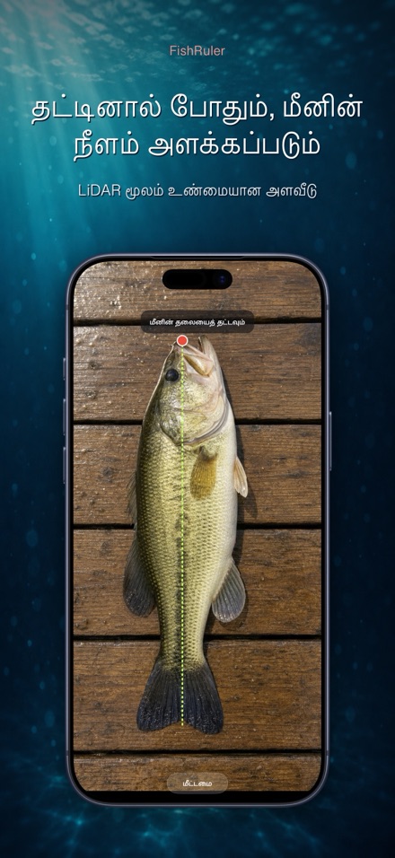FishRuler: மீன் அளவை 1