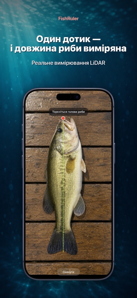 FishRuler: вимір риби в AR 1