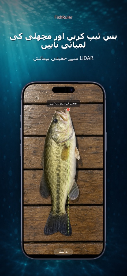 FishRuler: مچھلی کی پیمائش 1