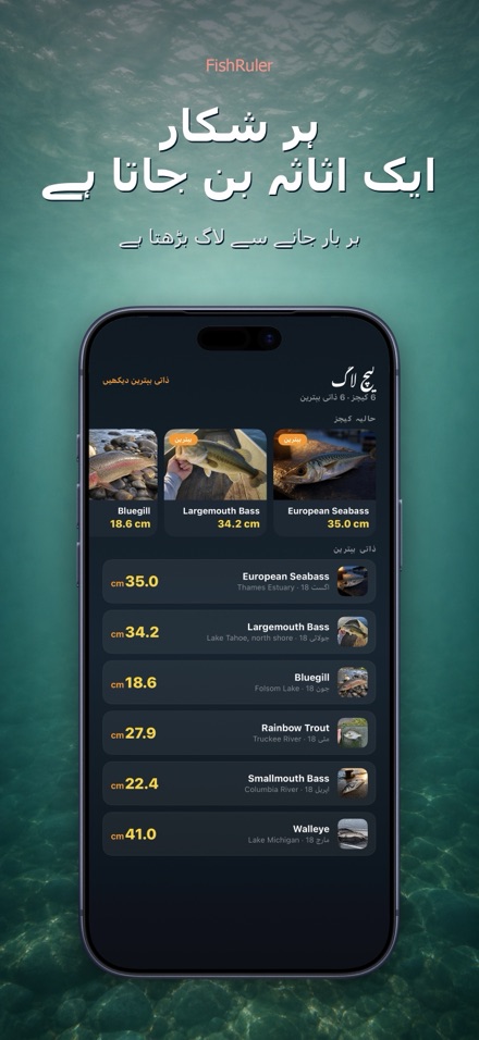 FishRuler: مچھلی کی پیمائش 4