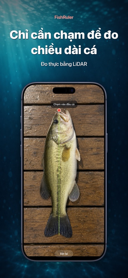 FishRuler: Đo kích thước cá 1