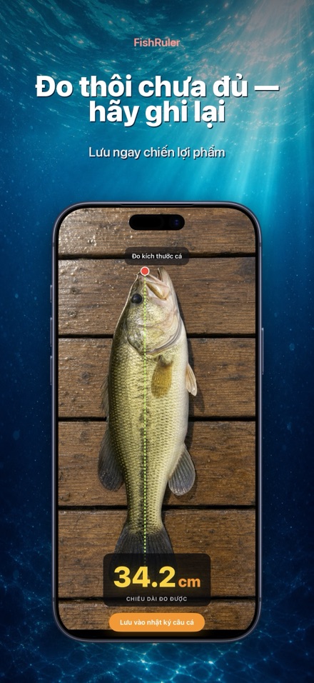 FishRuler: Đo kích thước cá 2
