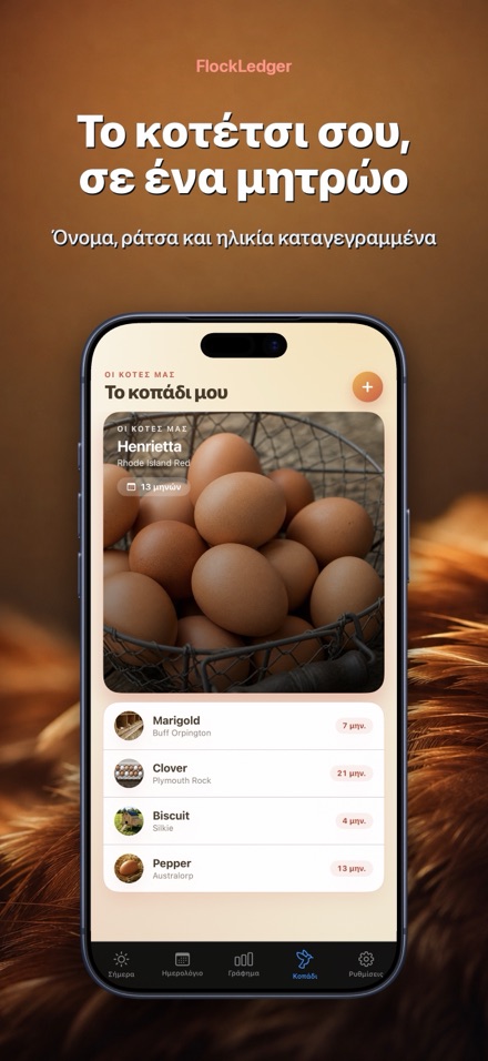 FlockLedger: Μετρητής Αυγών 5