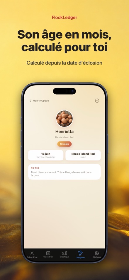 FlockLedger: Compteur d'Œufs 7