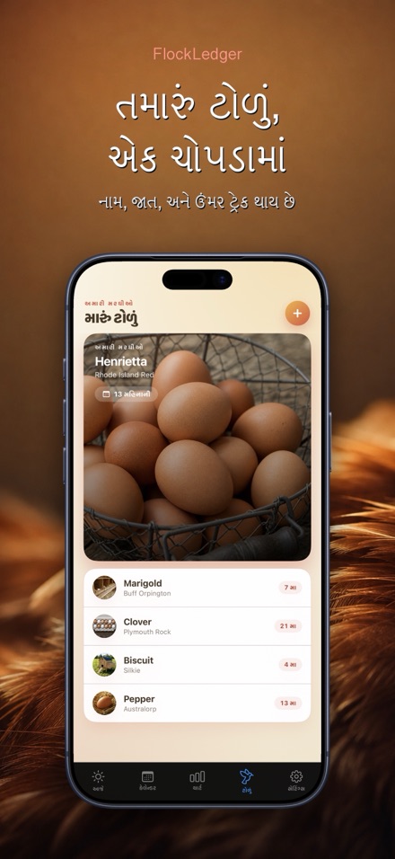 FlockLedger: ઈંડા કાઉન્ટર 5