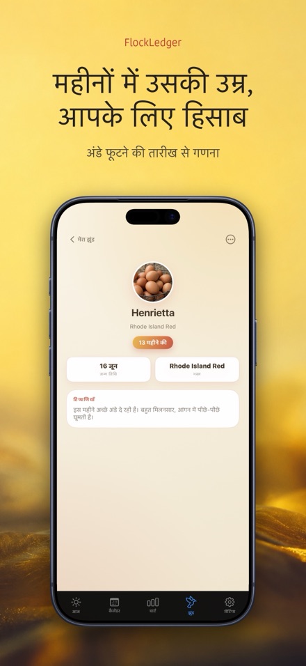 FlockLedger: अंडा काउंटर 7