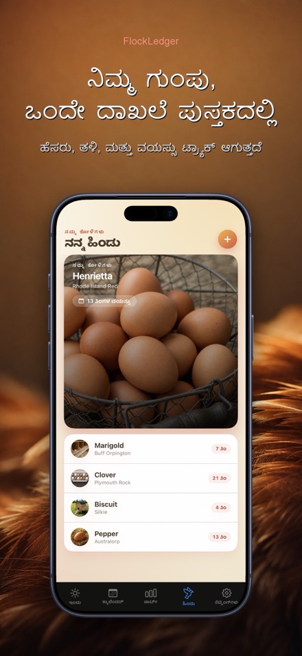 FlockLedger: ಮೊಟ್ಟೆ ಕೌಂಟರ್ 5