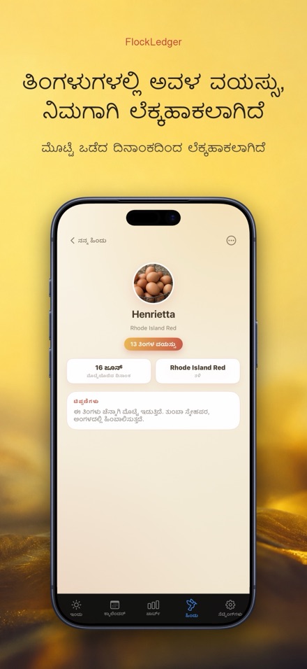 FlockLedger: ಮೊಟ್ಟೆ ಕೌಂಟರ್ 7