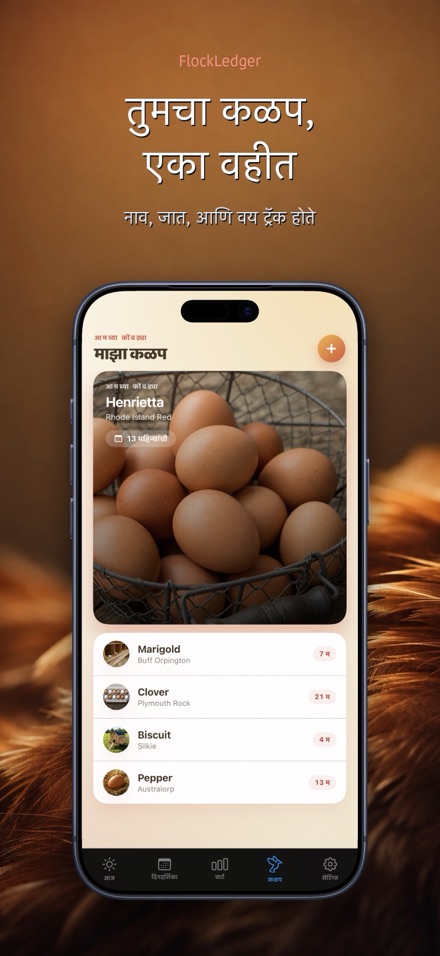 FlockLedger: अंडी काउंटर 5
