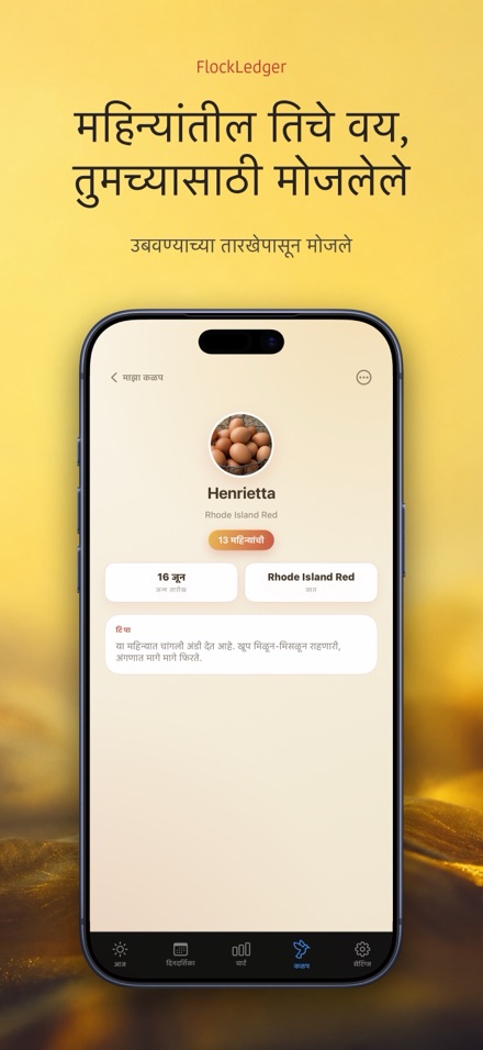FlockLedger: अंडी काउंटर 7