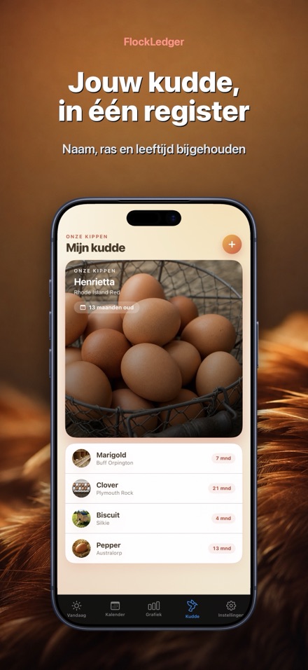 FlockLedger: Eierenteller 5