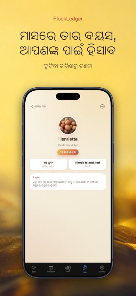 FlockLedger: ଅଣ୍ଡା କାଉଣ୍ଟର 7