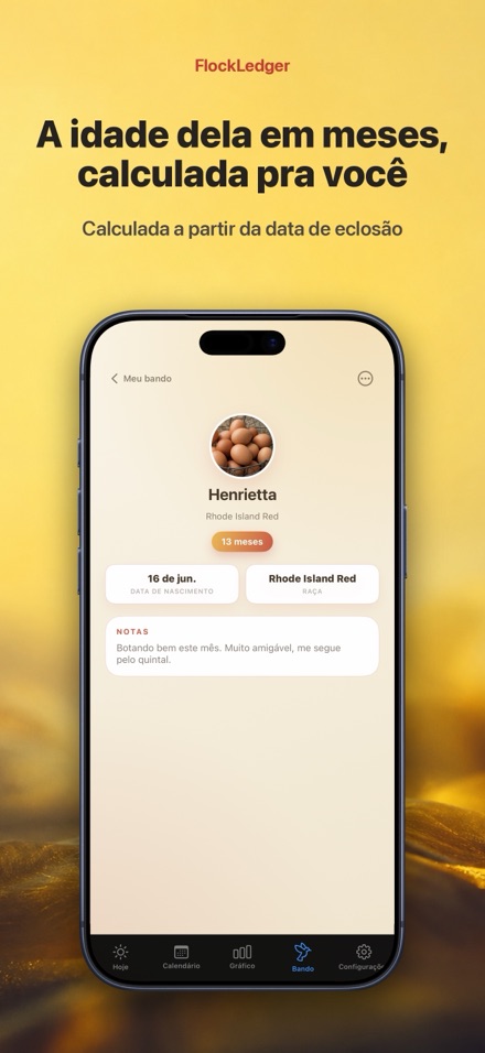 FlockLedger: Contador de Ovos 7