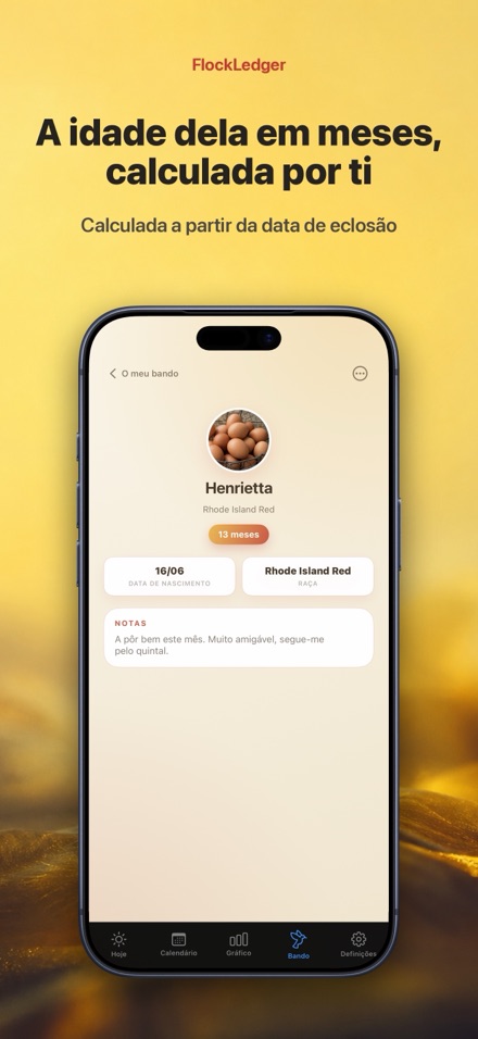 FlockLedger: Contador de Ovos 7
