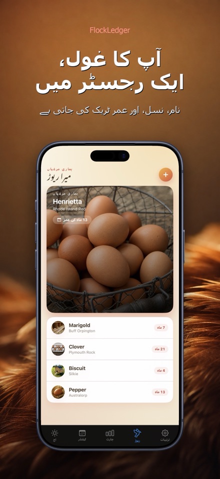 FlockLedger: انڈے کاؤنٹر 5