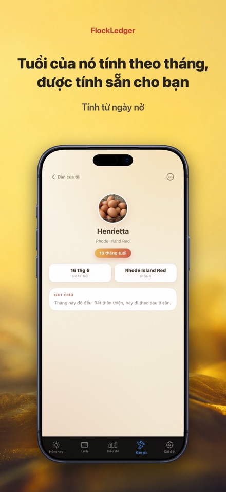 FlockLedger: Đếm Trứng Gà 7
