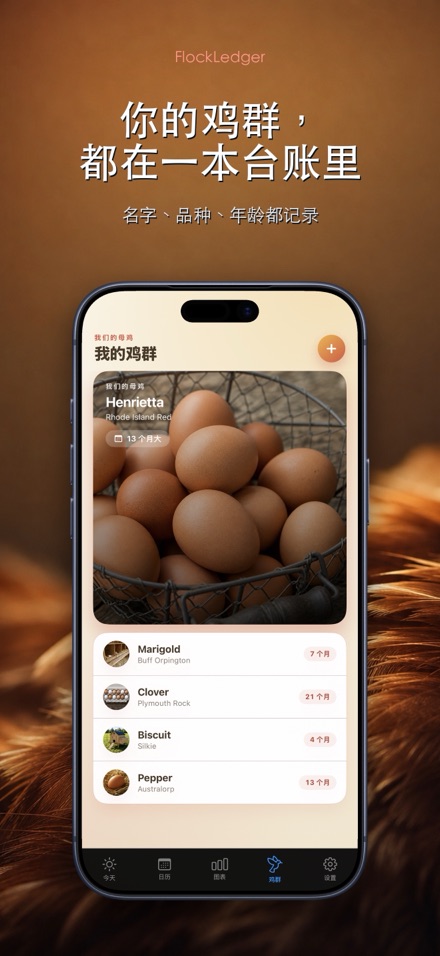 FlockLedger：鸡蛋记录本 5