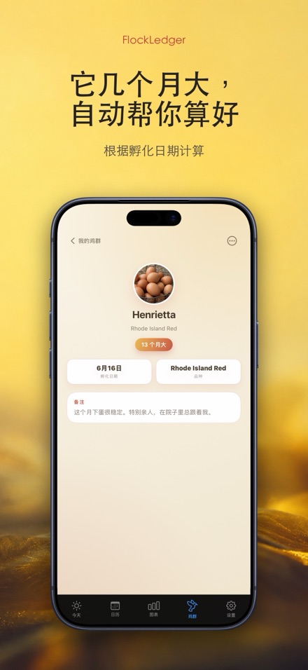 FlockLedger：鸡蛋记录本 7