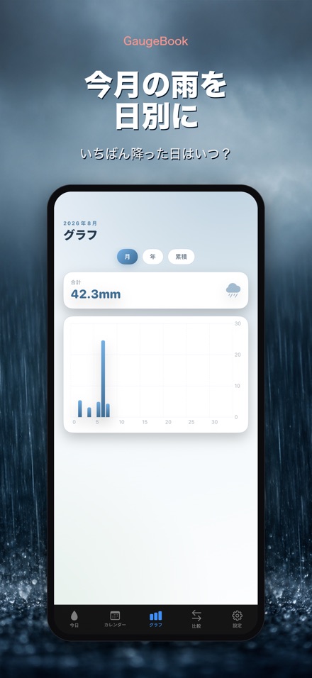 GaugeBook：雨量計日誌 3