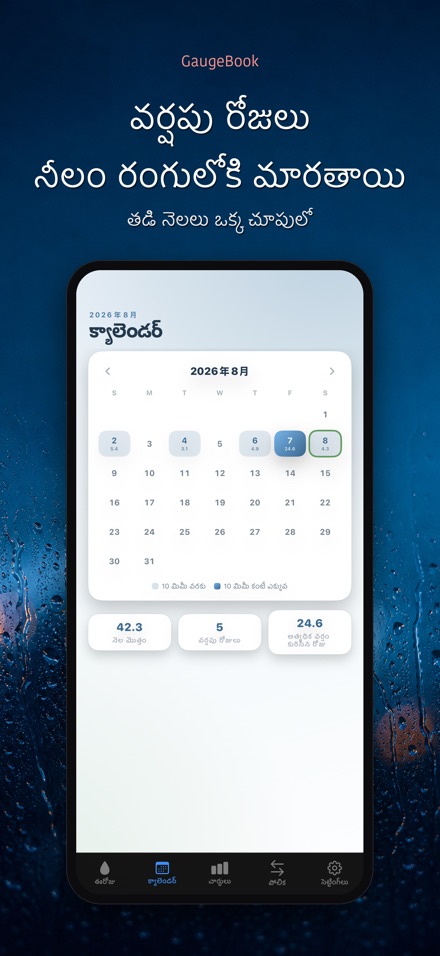 GaugeBook: వర్షపు డైరీ 2