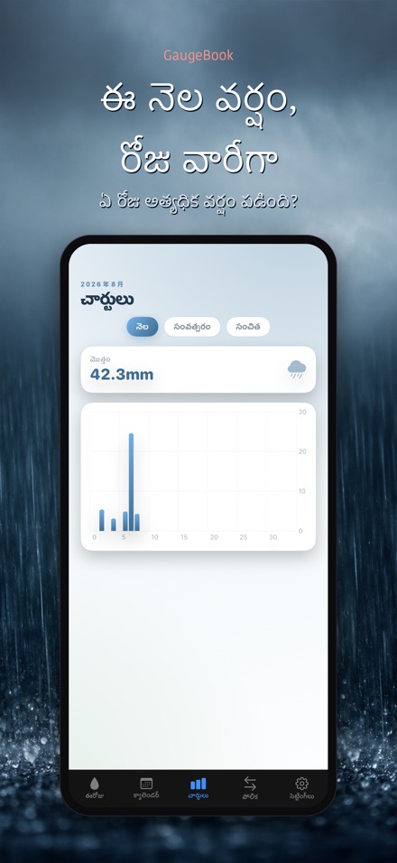 GaugeBook: వర్షపు డైరీ 3