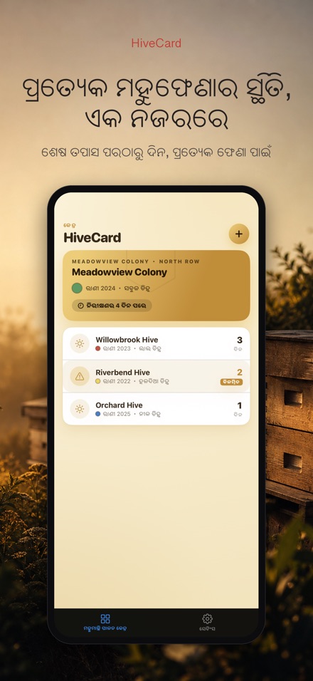 HiveCard: ମହୁମାଛି ଡାଏରୀ