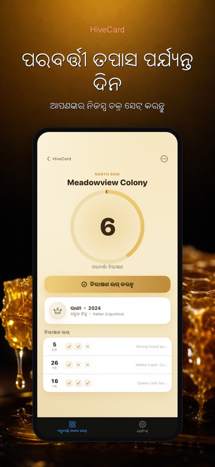 HiveCard: ମହୁମାଛି ଡାଏରୀ 2