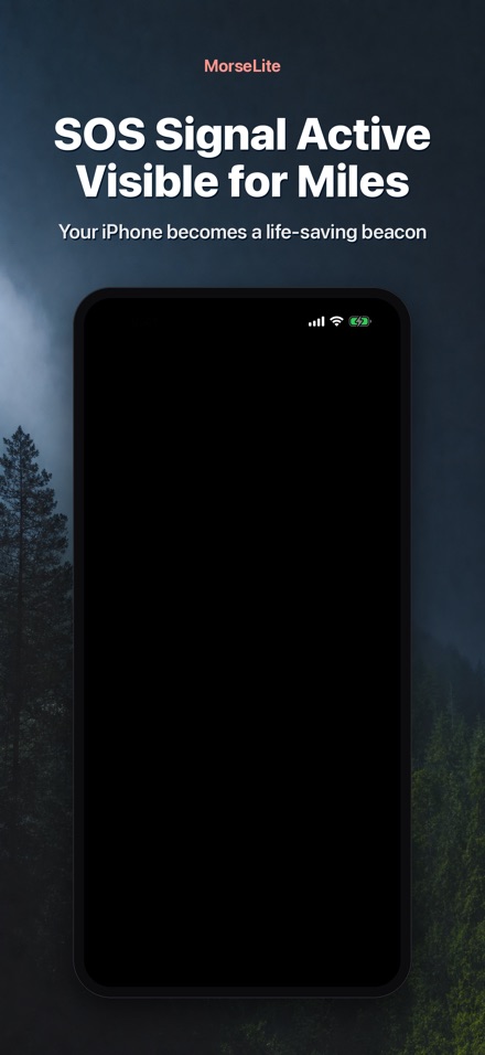 MorseLite: Flash i Senyal 7