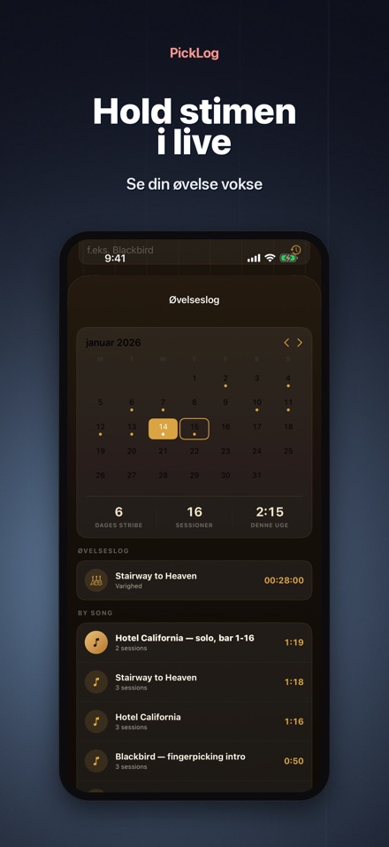 PickLog: Guitarøvelses-timer 4