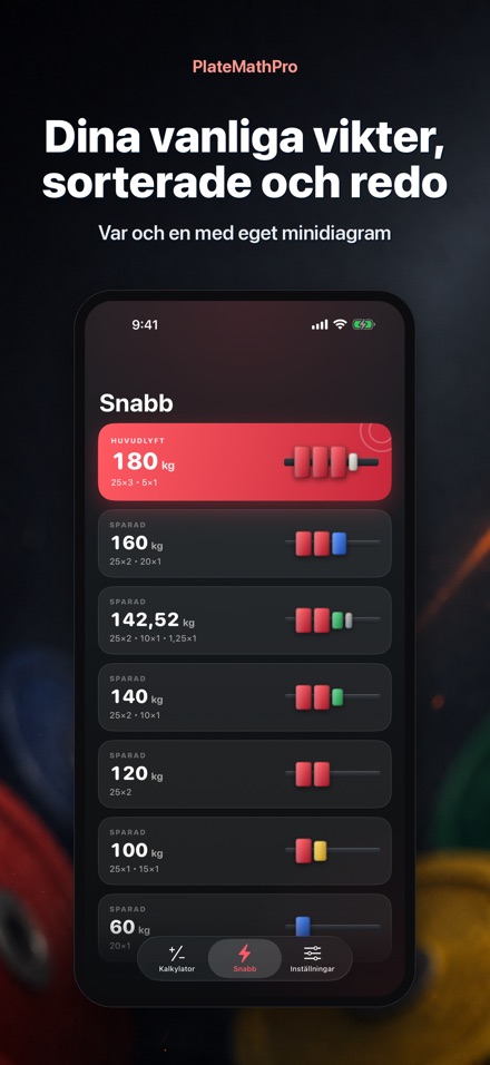 PlateMathPro: Skivberäkning 5